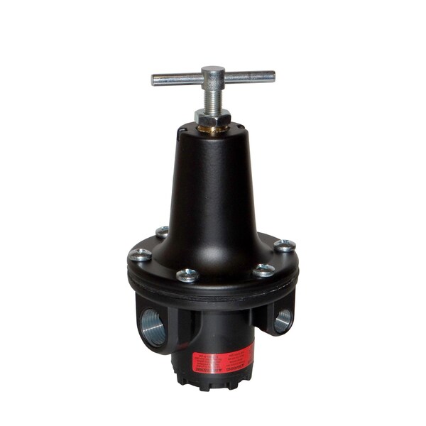 Bedford Precision Regulator 1/2in for Graco 206-197
